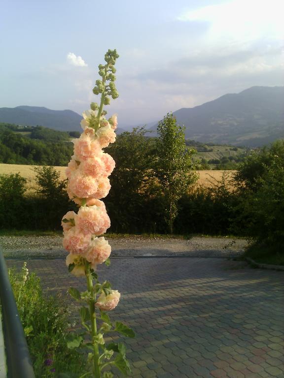 Poggio D'Incanto Bettola  Εξωτερικό φωτογραφία